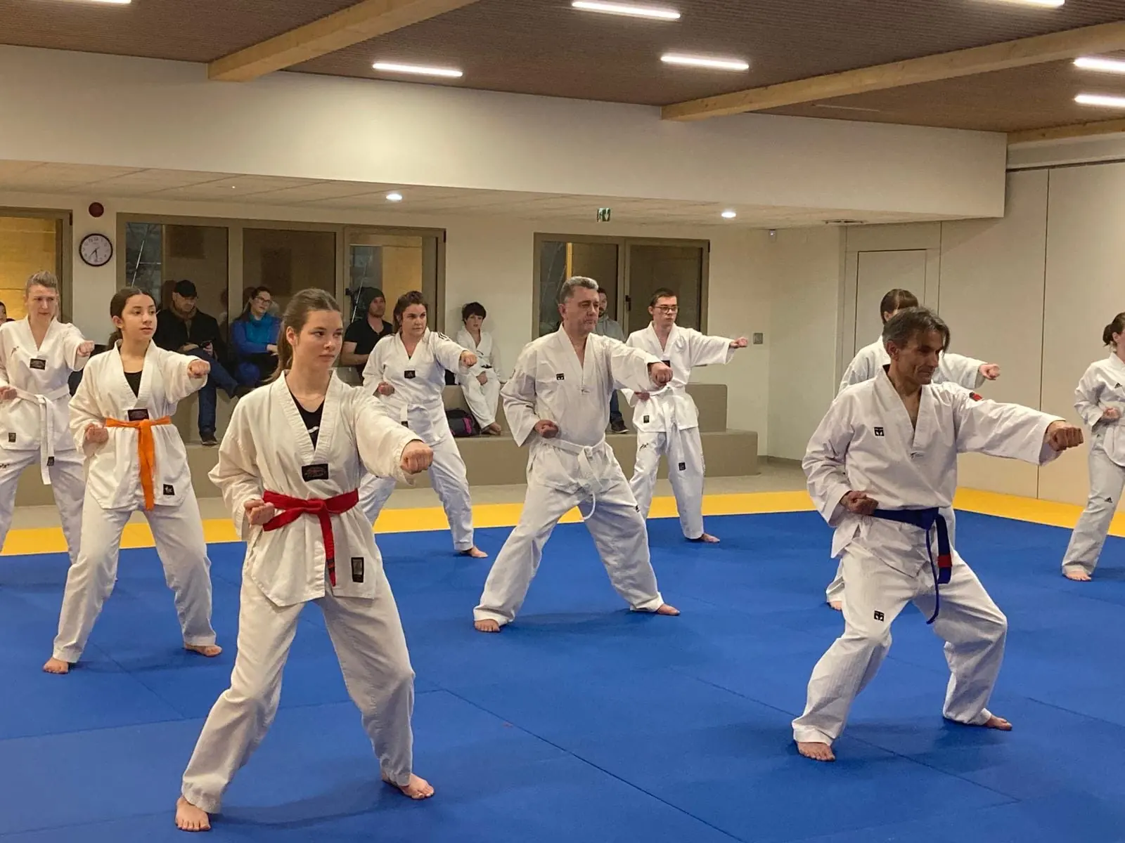 Le cours adultes en position de garde dans le dojang